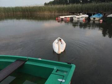 Фото номера Дом для отпуска Дома для отпуска Wałpusz - Mazurski Domek z Duszą г. Щитно 58